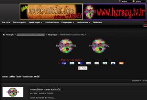 TOPRAK SERGEN'LE HERŞEY TV Ekran Alıntısı